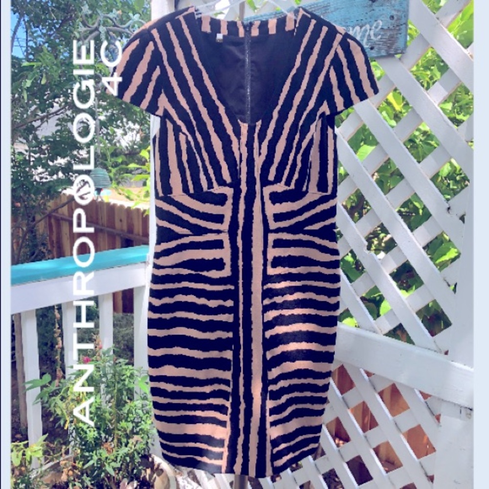 ANTHROPOLOGIE 4C Zebra Striped Dress in Dark Beige & Black! Stunning!🌷